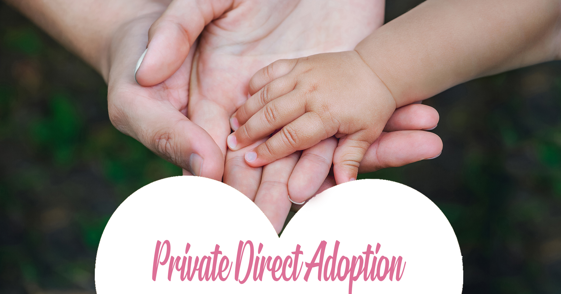 Private Direct Adoption in Alberta | Small Miracles Adoption