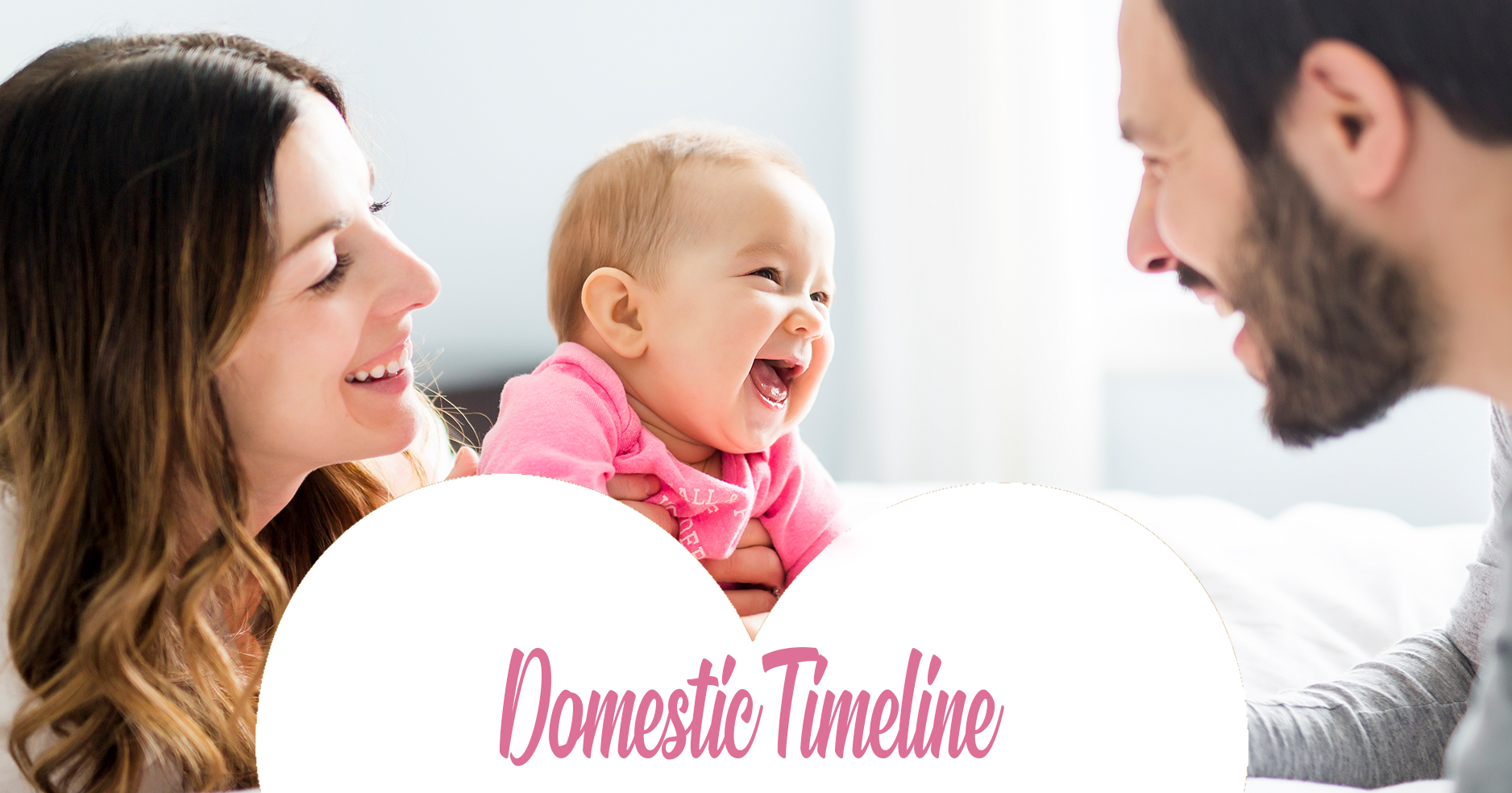 domestic adoption timeline