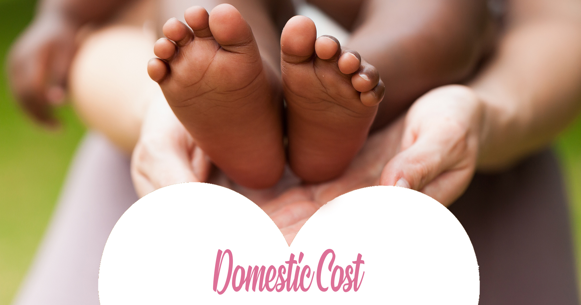 domestic adoption cost