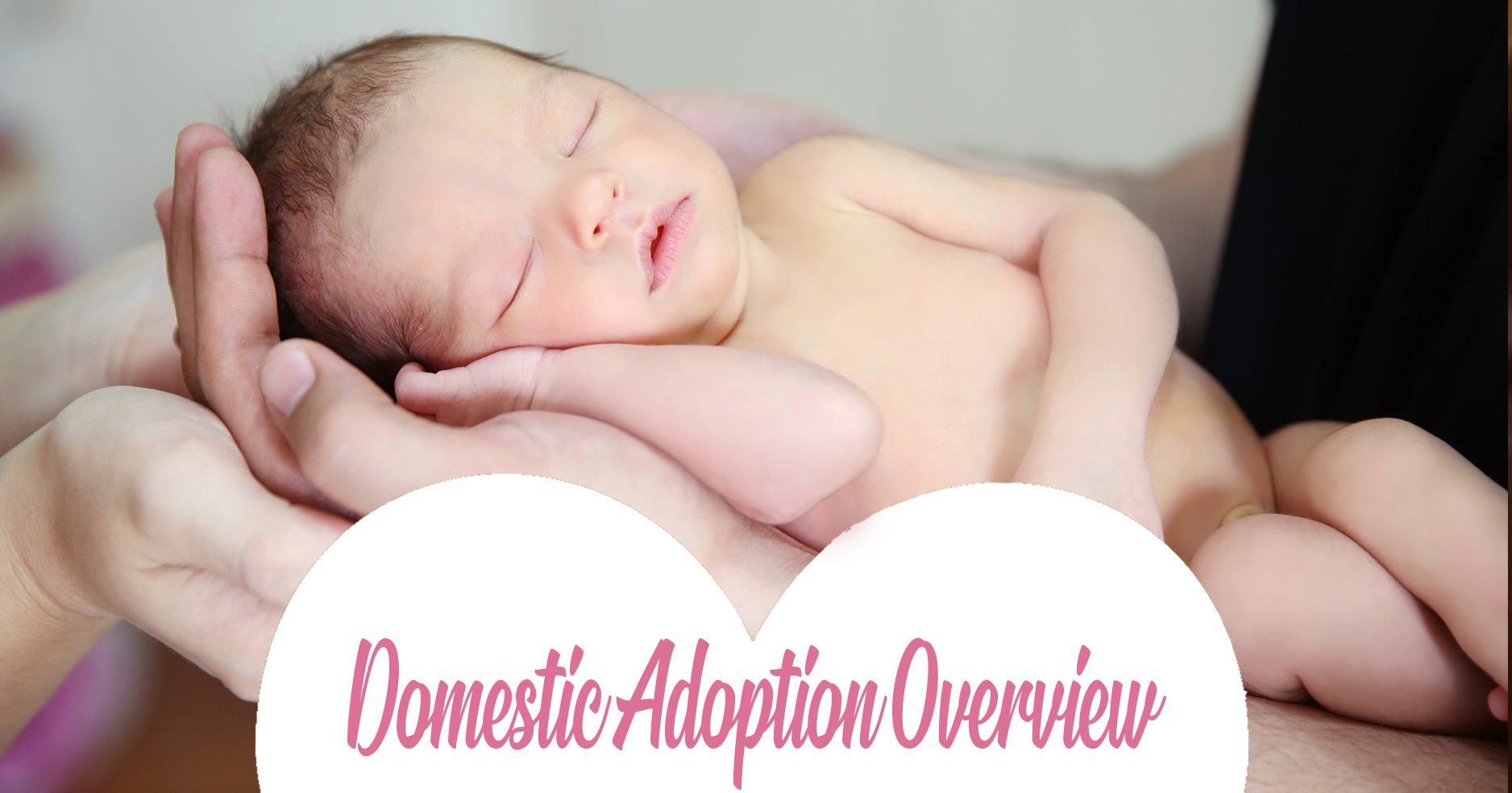 domestic adoption overview